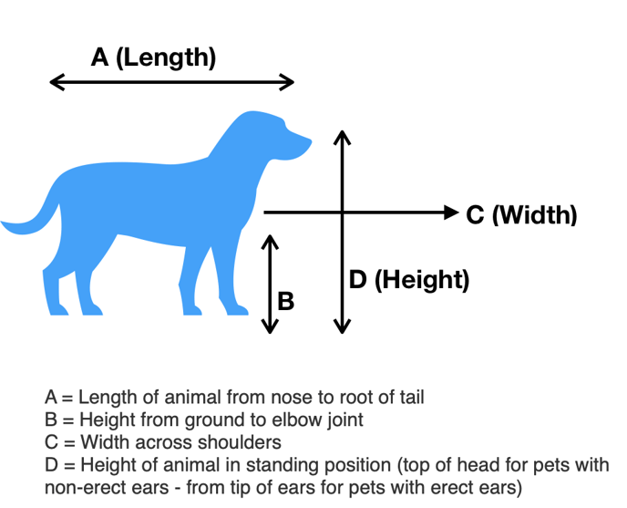 How to Measure Your Dog-2